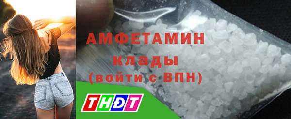 СК Алексин