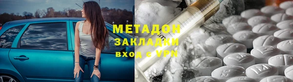 прущие грибы Алексеевка