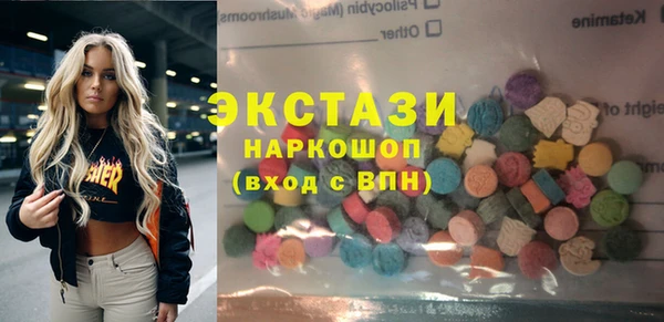 СК Алексин