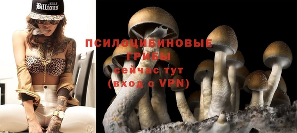 СК Алексин